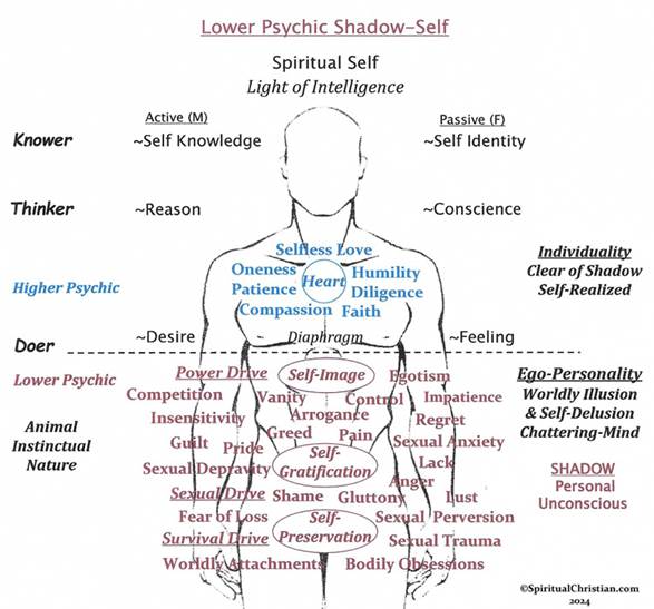 Description: Description: C:\Users\Rick\Documents\SC Webpapers\Images\Chakras-PP\Chakras-new-Jpegs\Web-Jpeg-images\lower-psychic-shadow-web.jpg