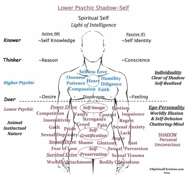 Description: Description: Description: Description: Description: Description: C:\Users\Rick\Documents\SC Webpapers\Images\Chakras-PP\Chakras-new-Jpegs\Web-Jpeg-images\lower-psychic-shadow-web.jpg